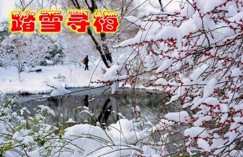 踏雪寻梅